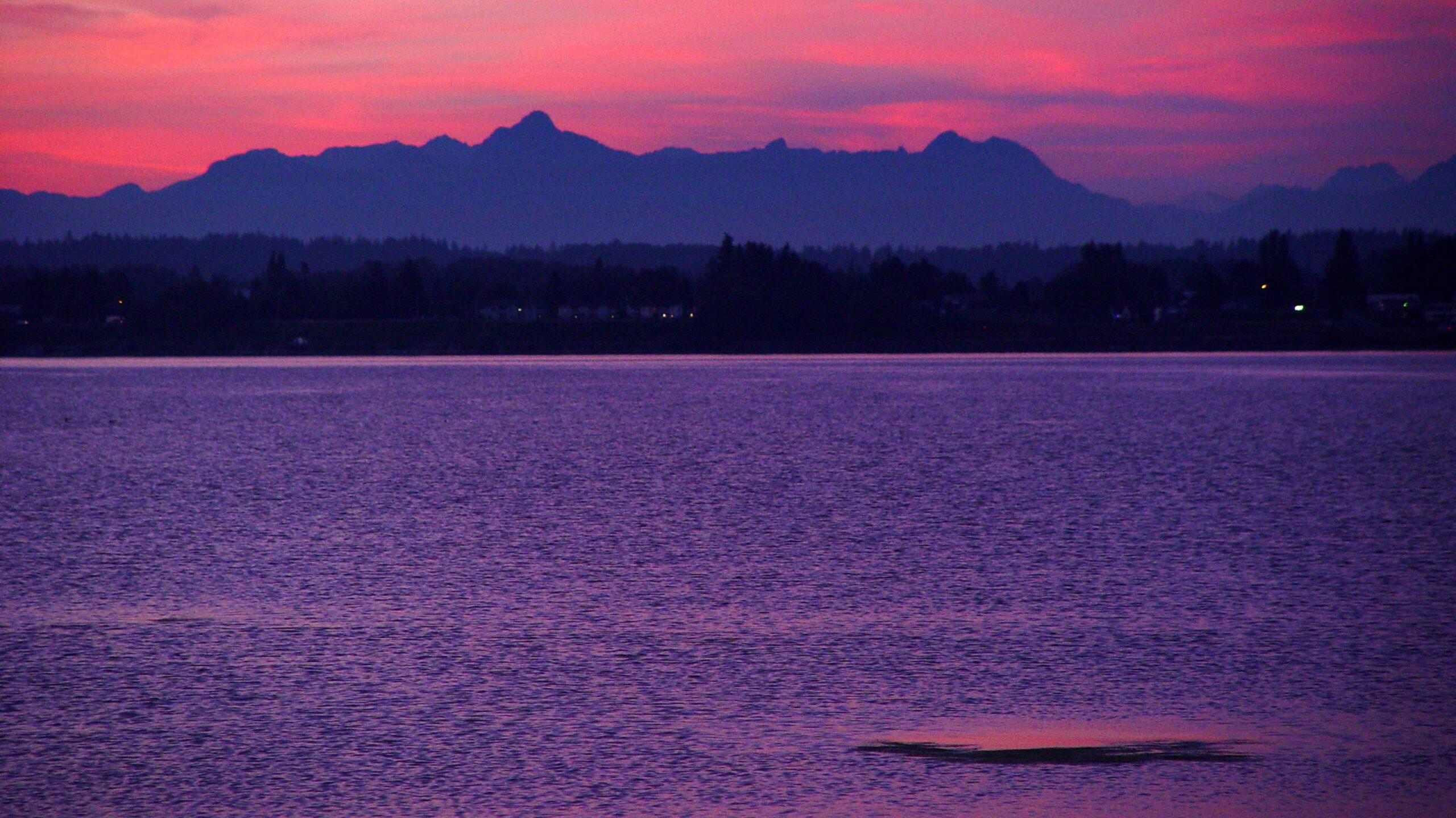Birch Bay Purple Sunset Lake Reflection 4K Wallpaper