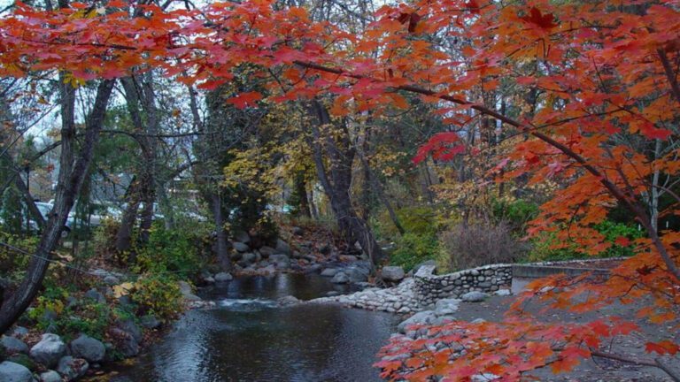Autumn Creek with Red Leaves and Stone Path HD Wallpaper