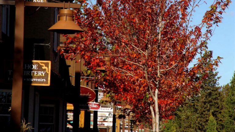 Autumn Street with Red Tree and Shops HD Wallpaper