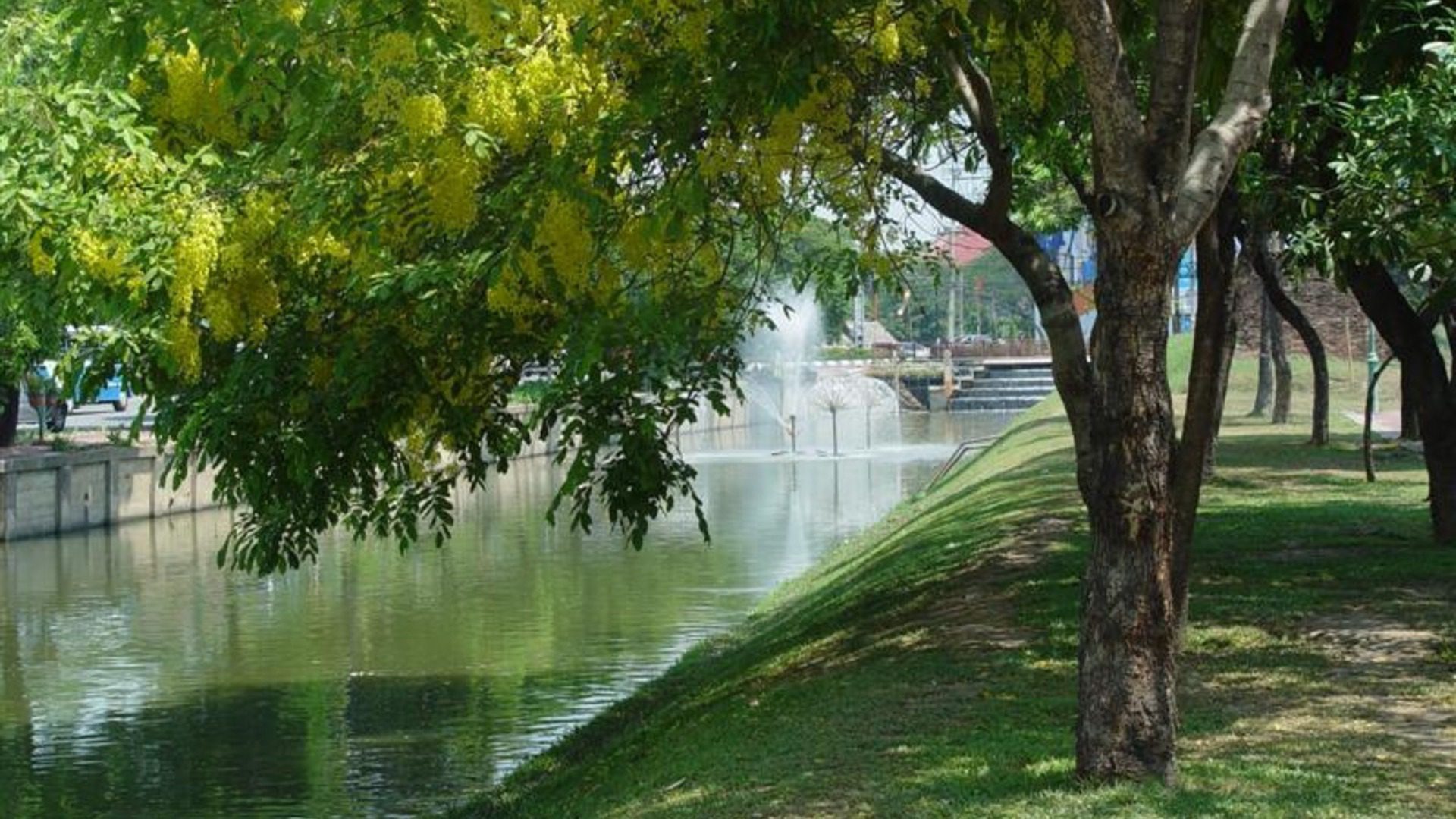 Chiang Mai Moat with Fountain and Trees Wallpaper
