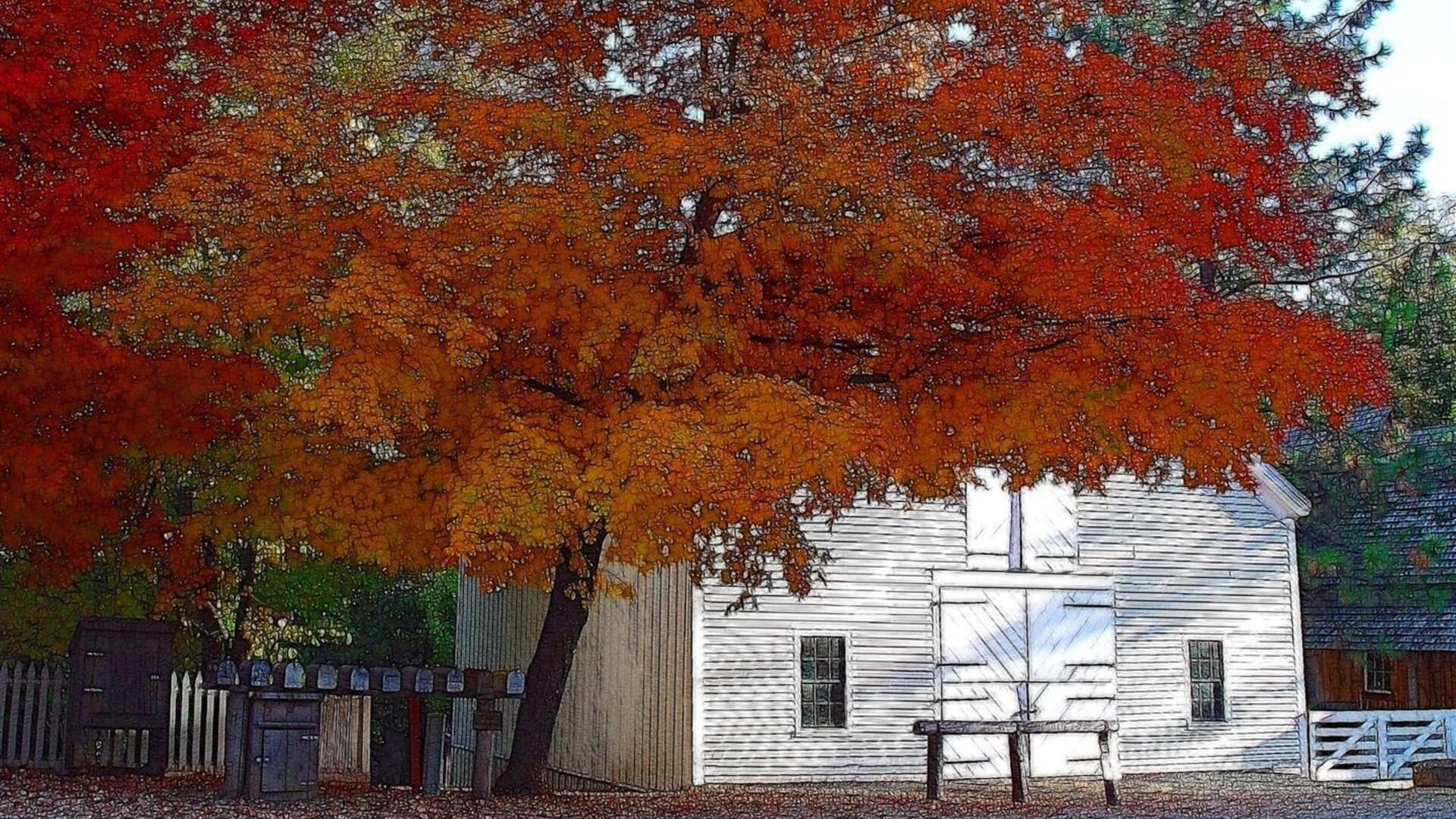 Autumn Tree and Country Barn HD Wallpaper | Rustic Fall Scene