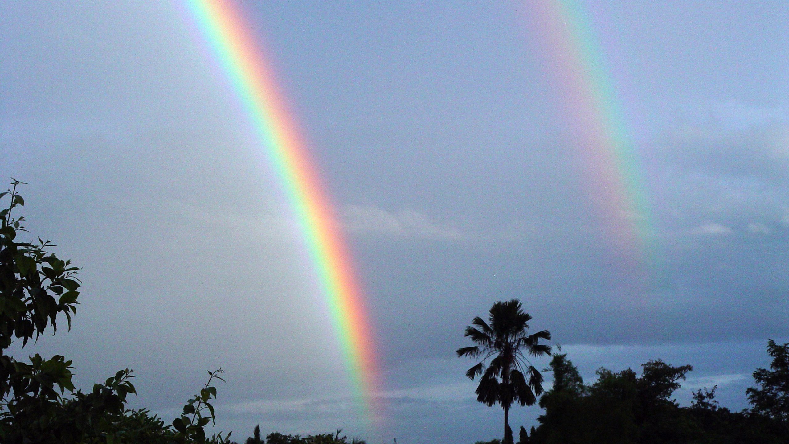 Double Rainbow Over Tropical Landscape QHD Wallpaper