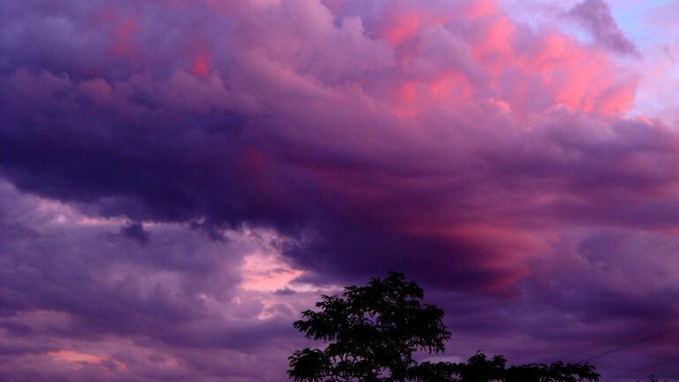 Dramatic Purple Sky with Clouds and Tree Silhouette – QHD Wallpaper