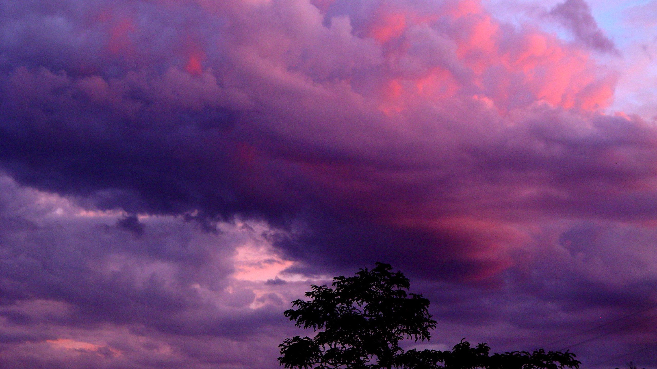 Dramatic Purple Sky with Clouds and Tree Silhouette – QHD Wallpaper