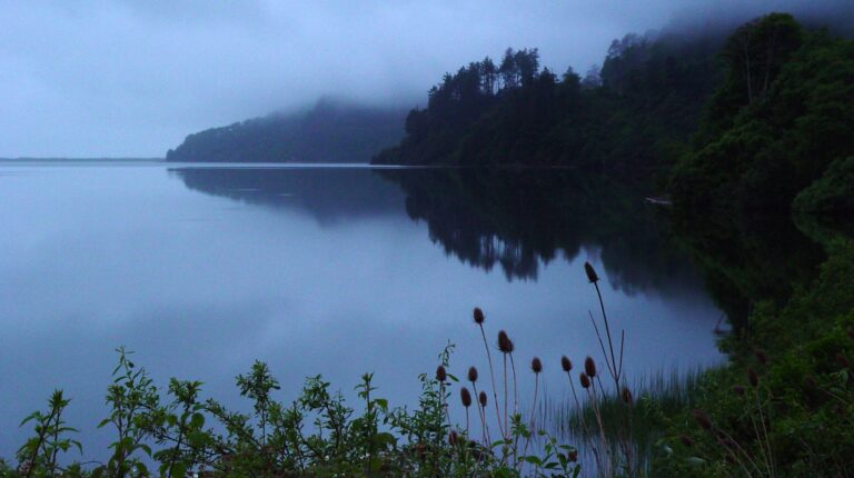 Foggy Lake with Tree Reflections 4K Wallpaper