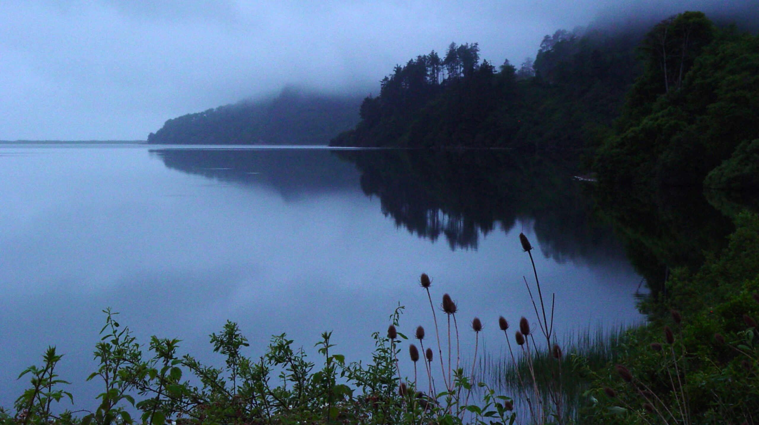Foggy Lake with Tree Reflections 4K Wallpaper
