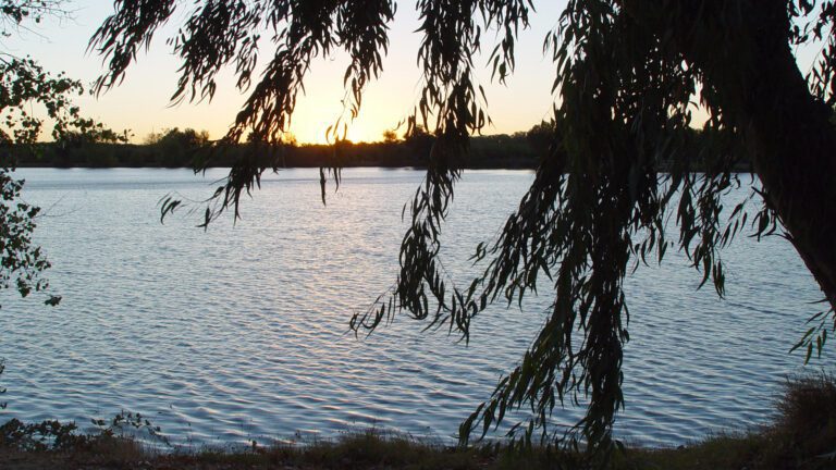 Lake Sunset Framed by Hanging Branches – QHD Wallpaper