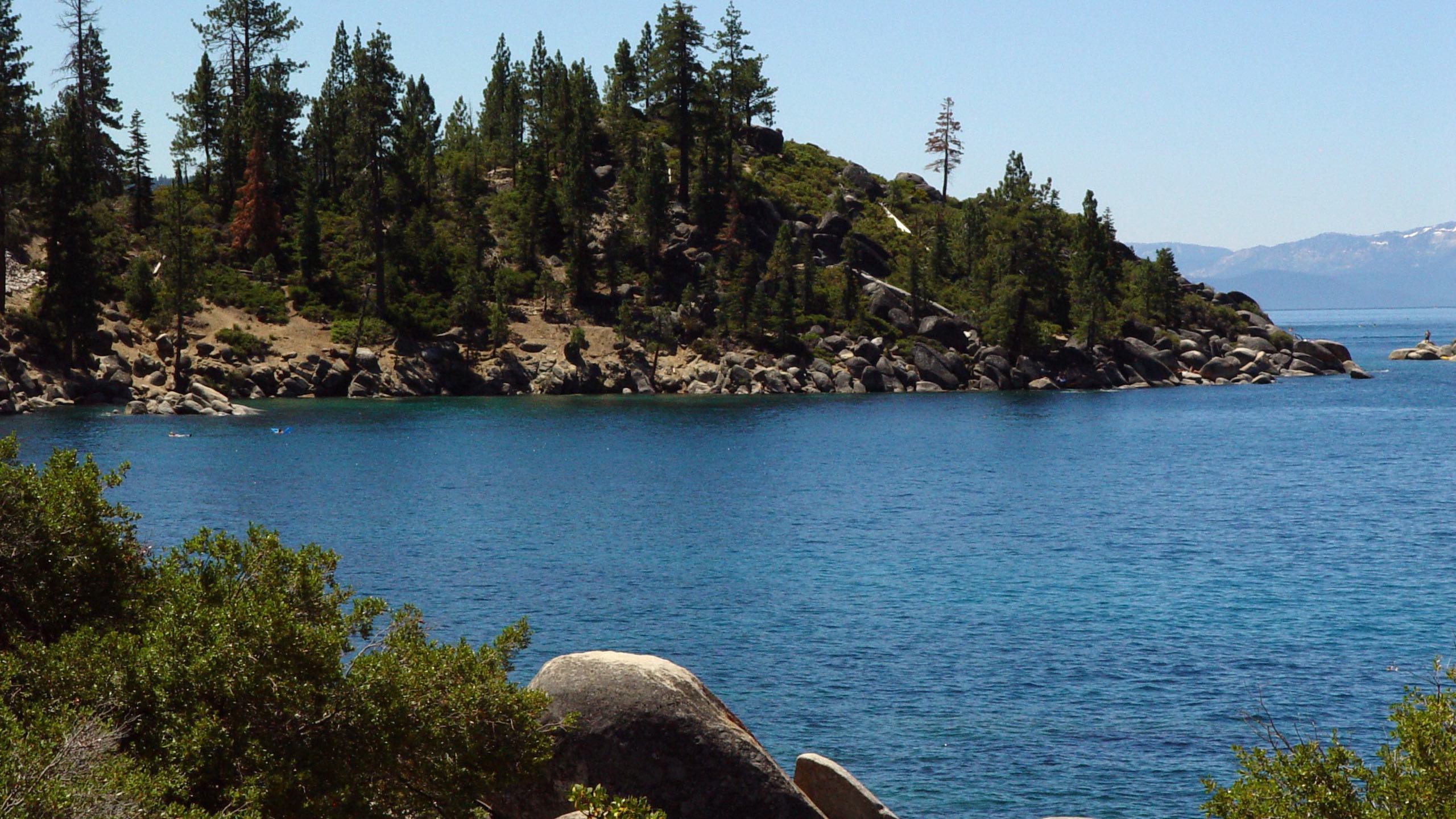 Lake Tahoe Pine Trees HD Wallpaper | Mountain Lake Shoreline