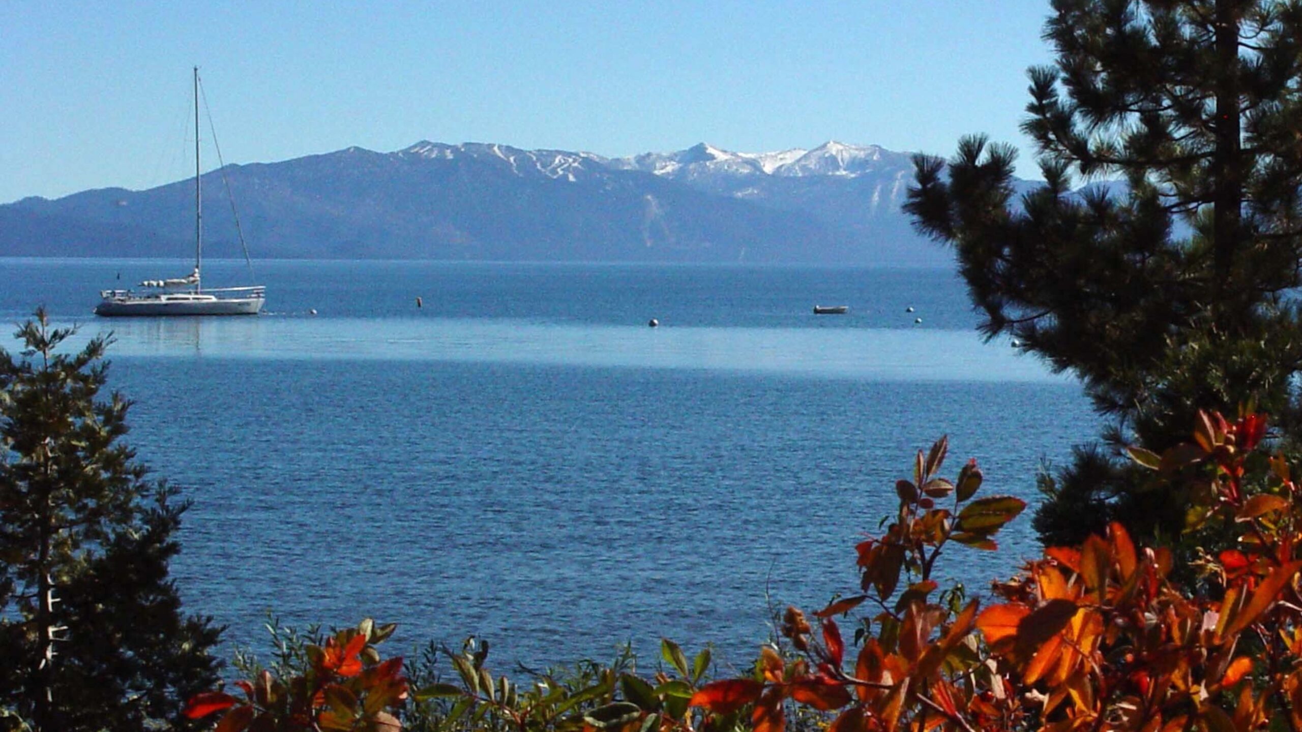 Lake Tahoe Sailboat with Mountain View 4K Wallpaper