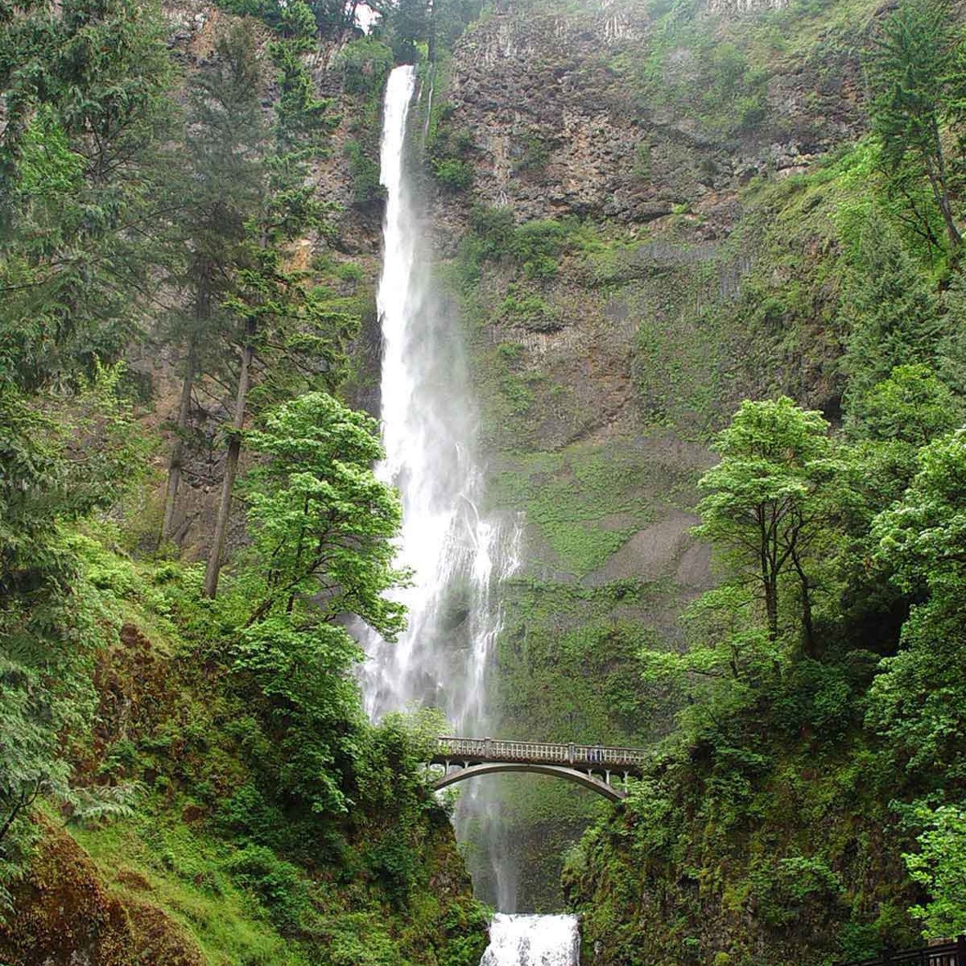 Multnomah Falls and Bridge – Iconic Oregon Waterfall Square Wallpaper