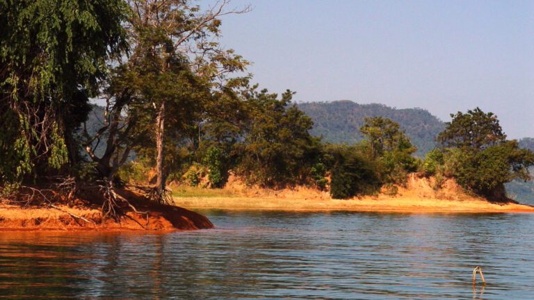 Nam Ngum Lake Shoreline – Warm Light and Trees HD Wallpaper