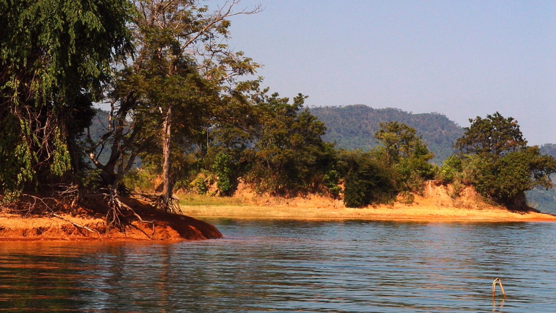 Nam Ngum Lake Shoreline – Warm Light and Trees HD Wallpaper