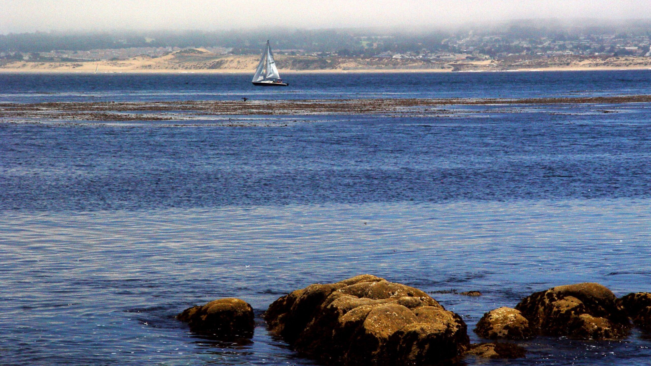 Ocean Sailboat Near Coastline with Rocks HD Wallpaper