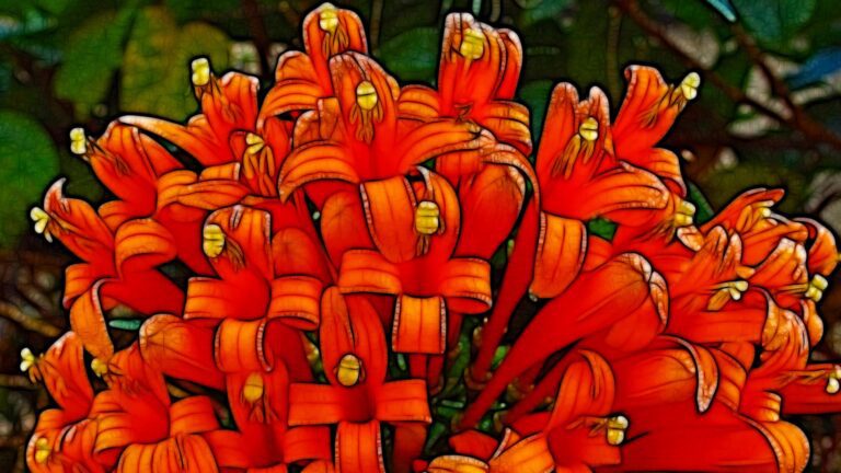 Orange Ribbon Style Flowers Abstract Artistic QHD Wallpaper