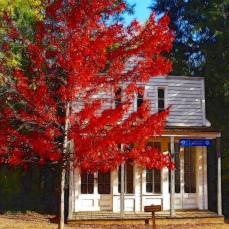 Autumn in a Small Town – Red Fall Tree Square Wallpaper