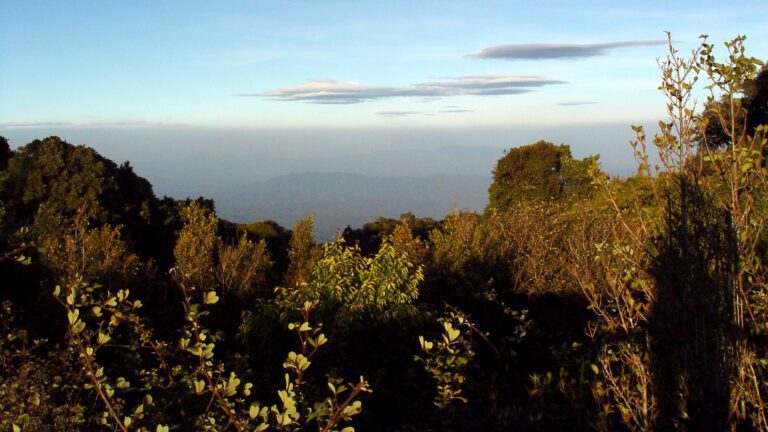 Doi Inthanon Mountain View Overlook Thailand Wallpaper