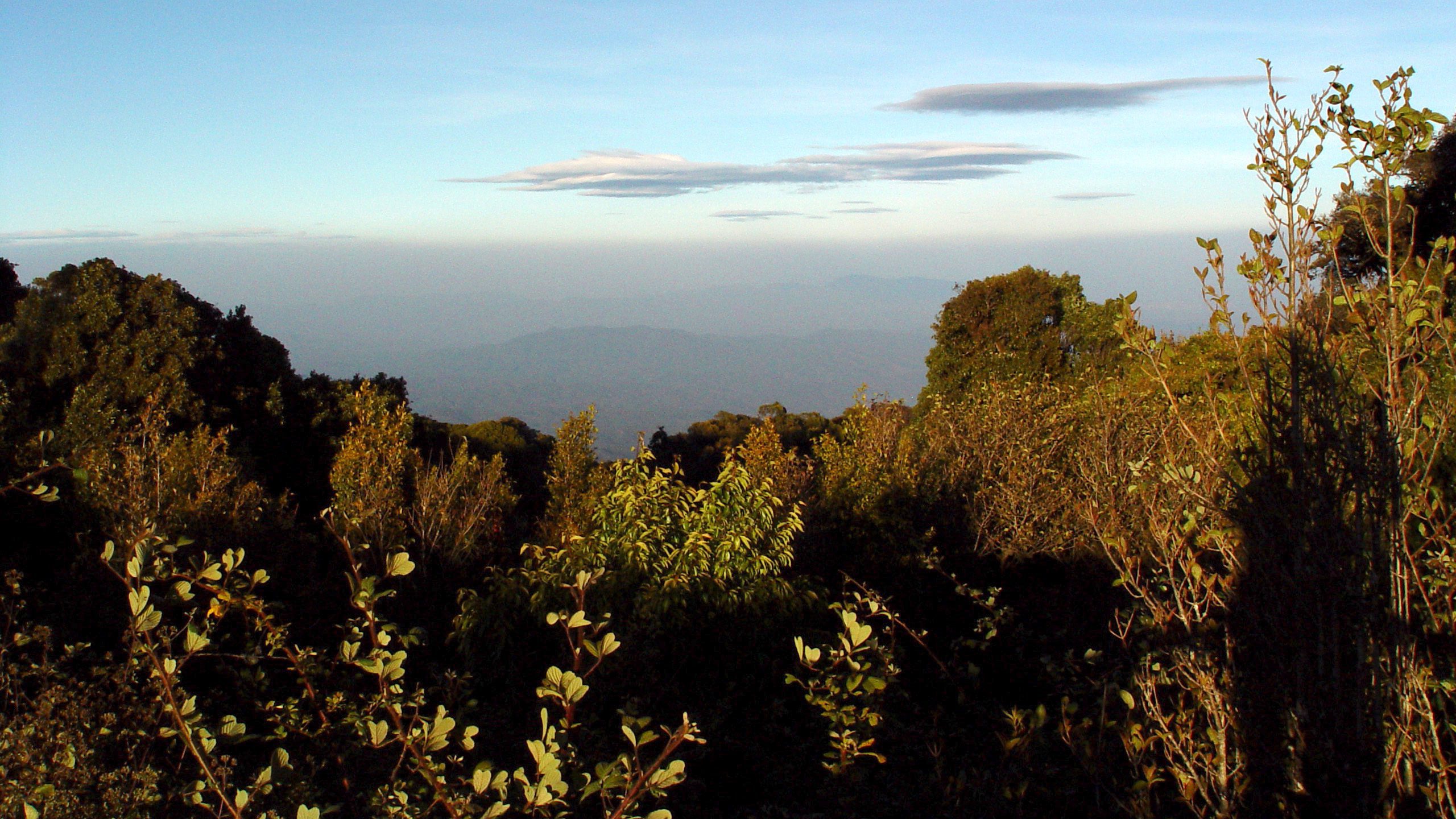 Doi Inthanon Mountain View Overlook Thailand Wallpaper