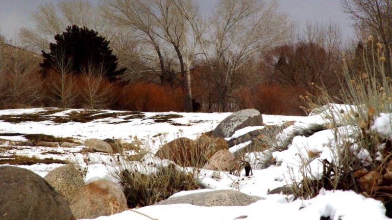 Early Snow Covering Rocky Winter Field