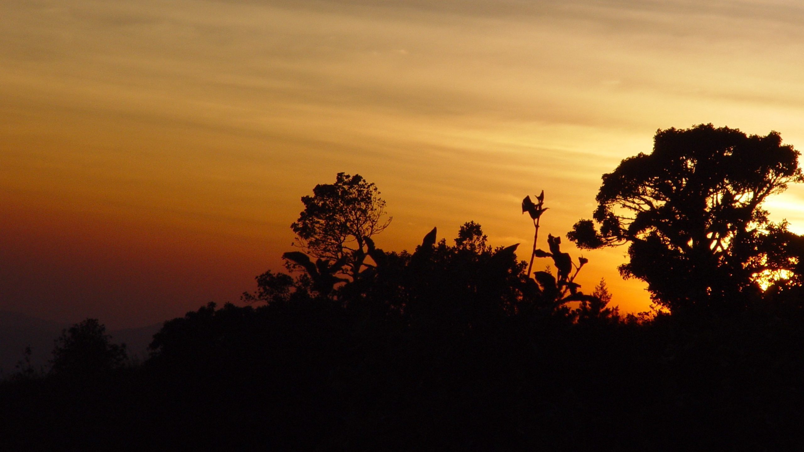 Golden Thailand Sunset Silhouette – Nature Wallpaper