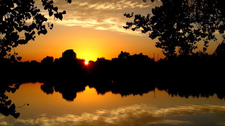 Lake Sunset Through Tree Silhouettes