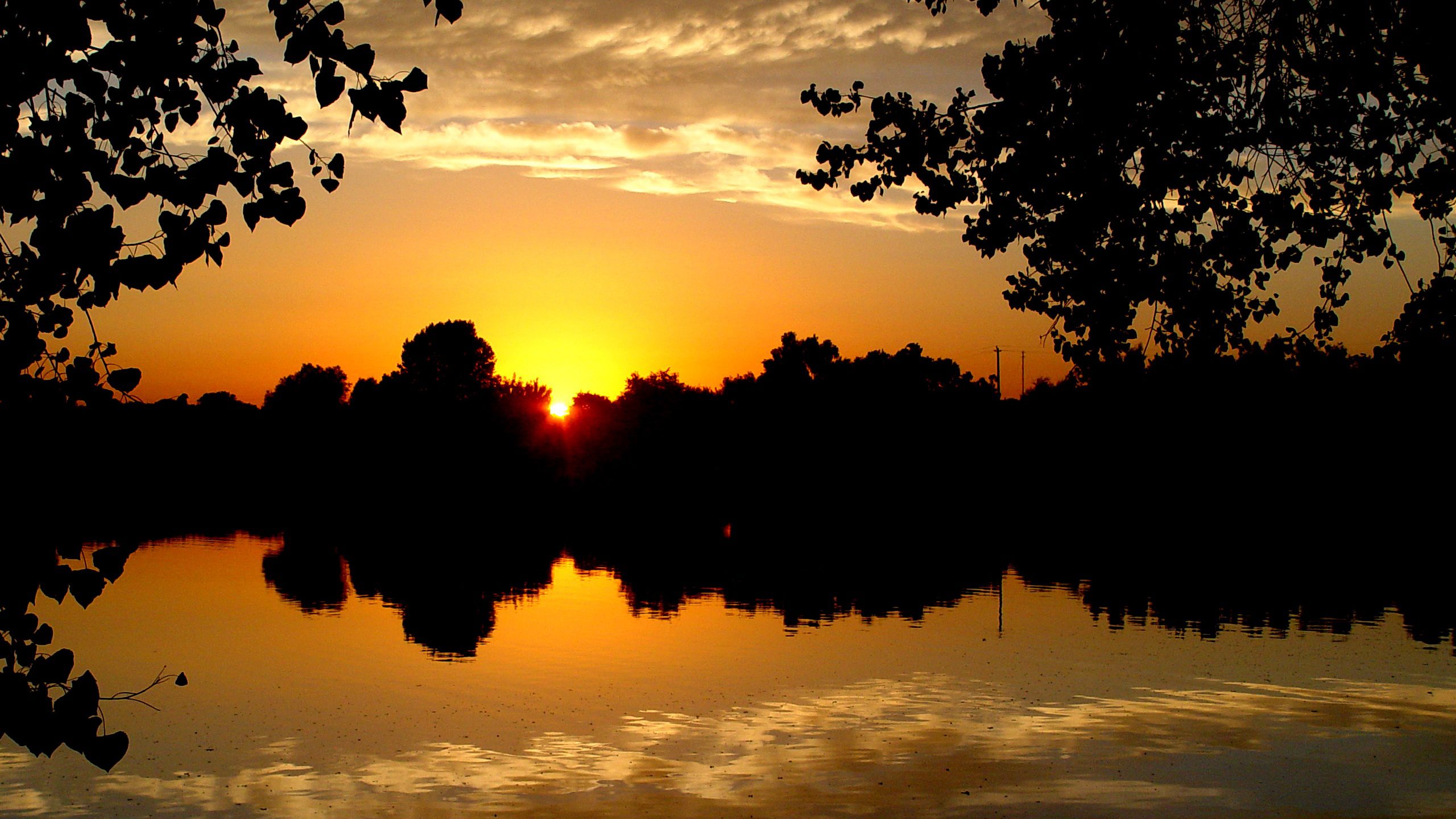 Lake Sunset Through Tree Silhouettes