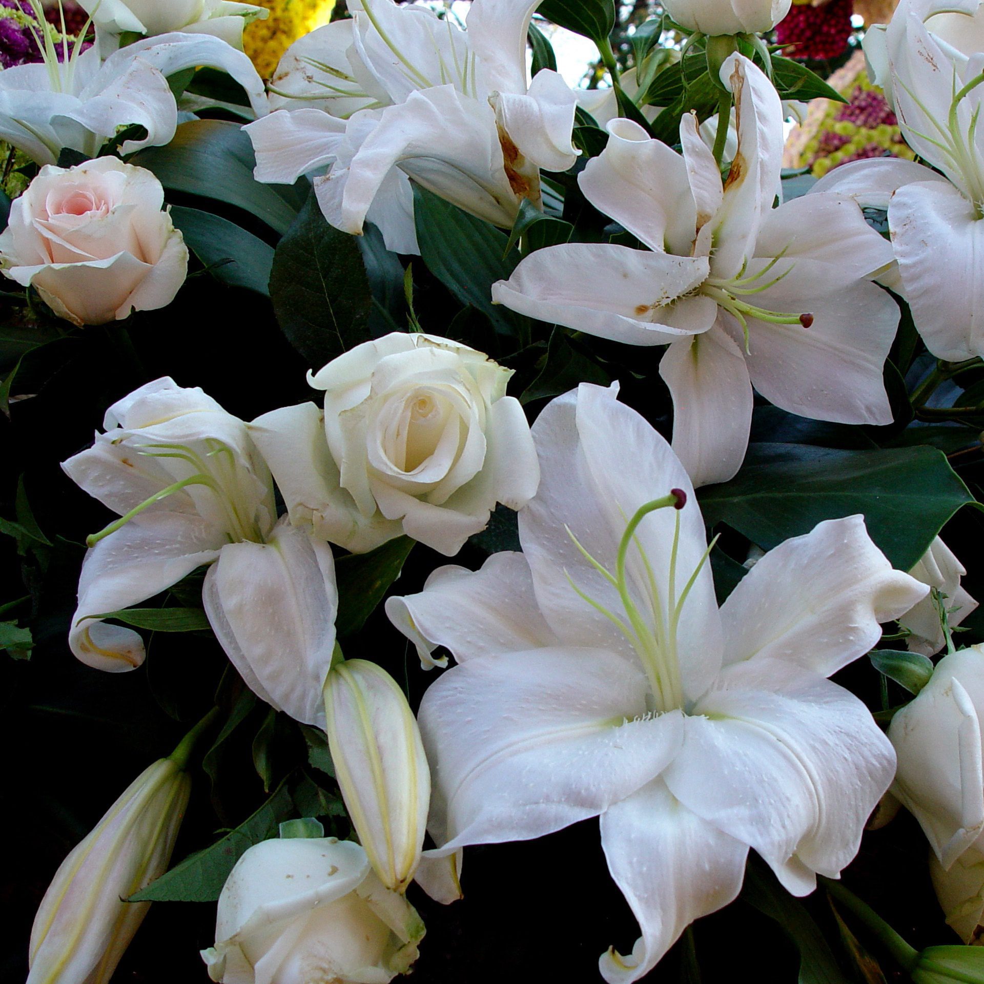 Pastel Flower Bouquet – Roses, Daisies & Gerberas