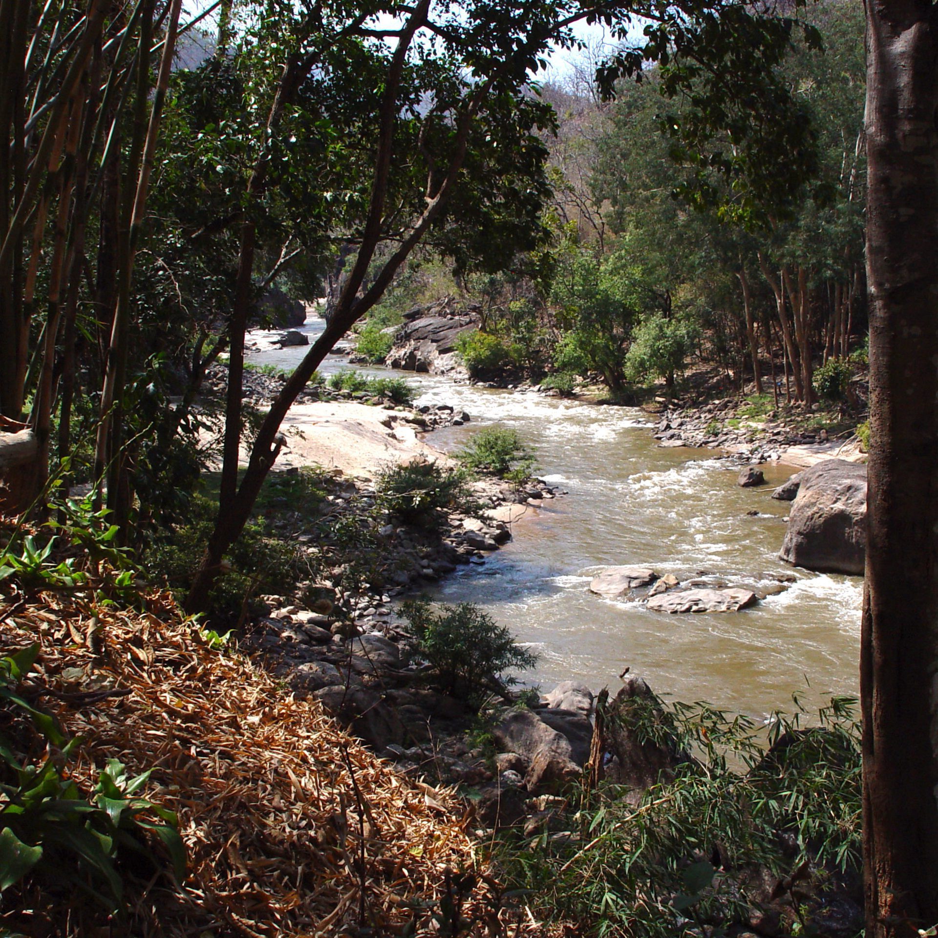 Mountain River Through Forest in Thailand – Square Wallpaper