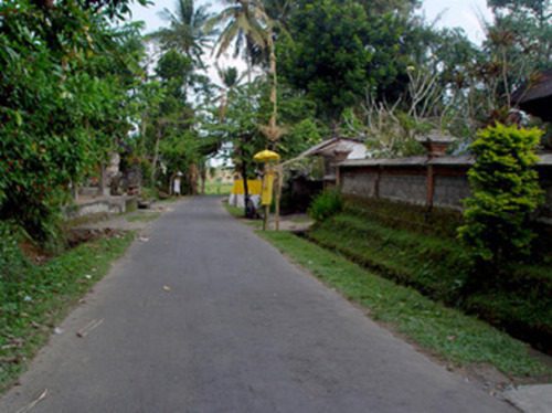 Quiet village road near rice fields in Ubud Bali