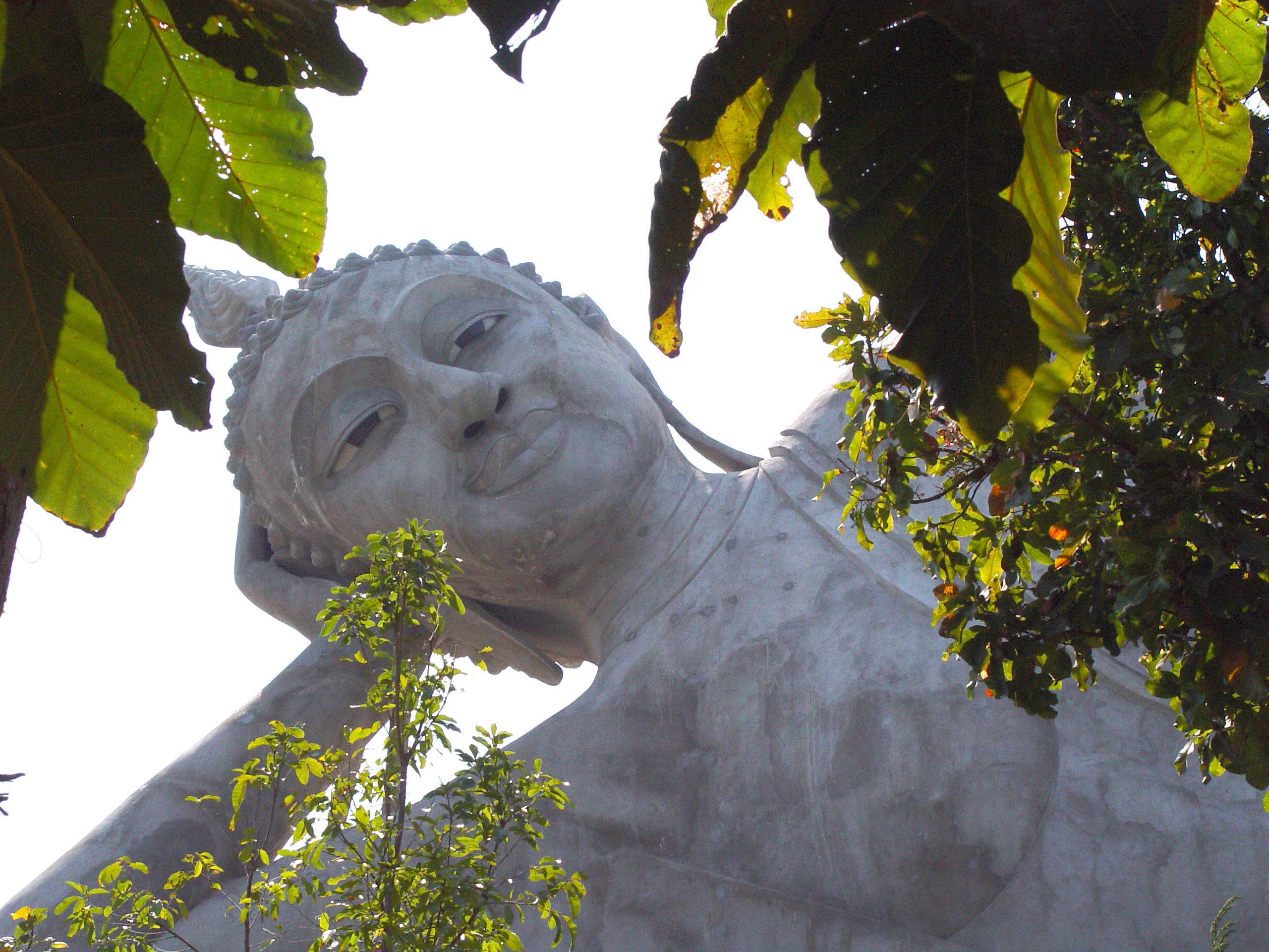 Reclining Buddha Through Jungle Leaves – Thailand Wallpaper