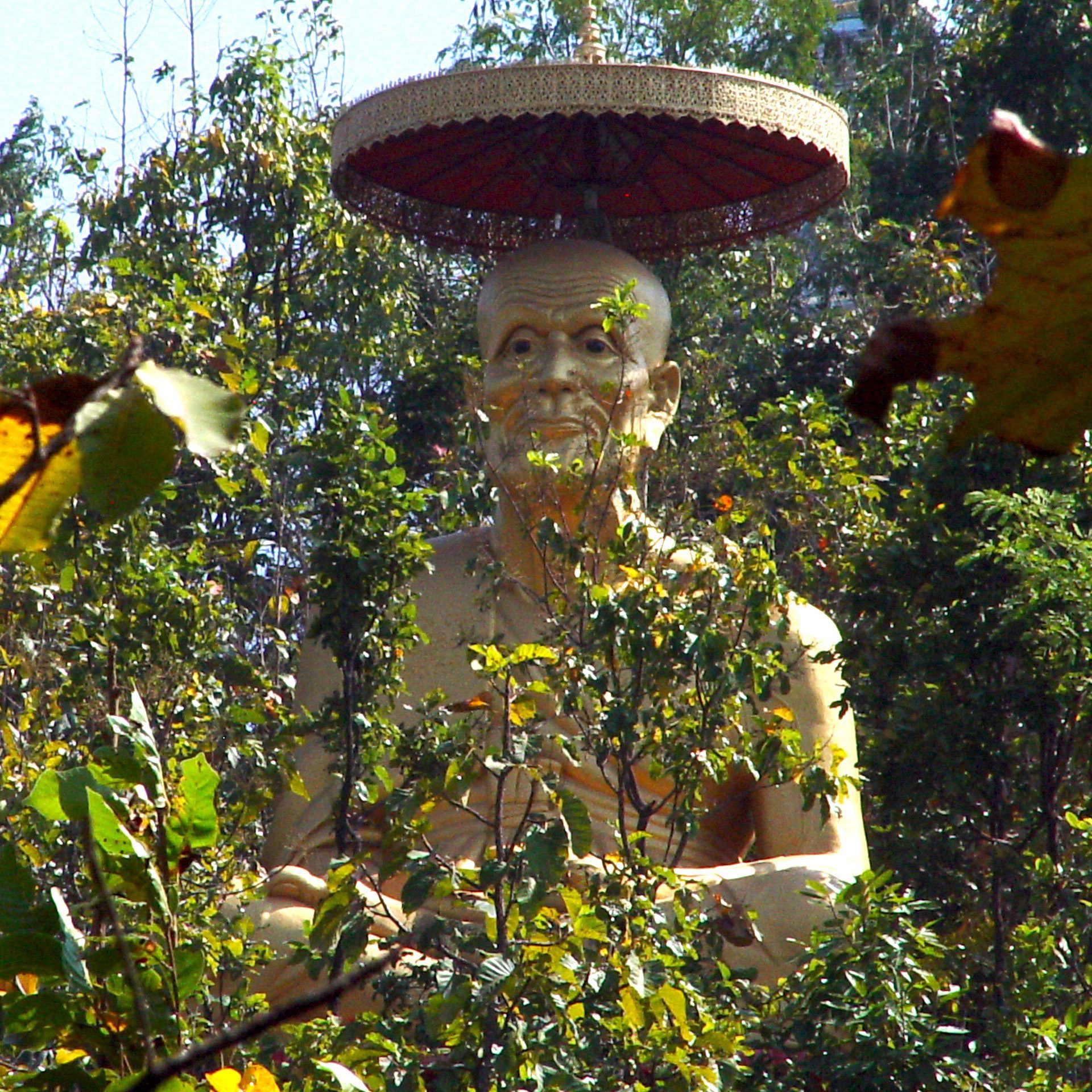 Thai Forest Monk Statue Hidden in Jungle – Square Wallpaper