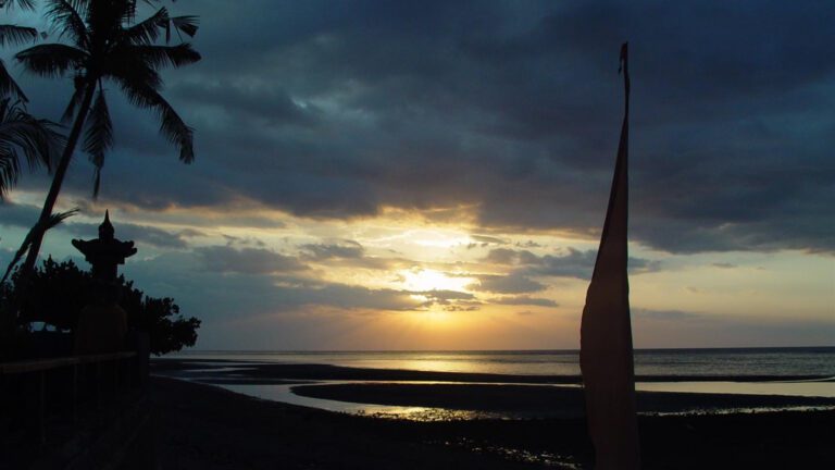 Tropical Beach Sunset with Palm Silhouettes