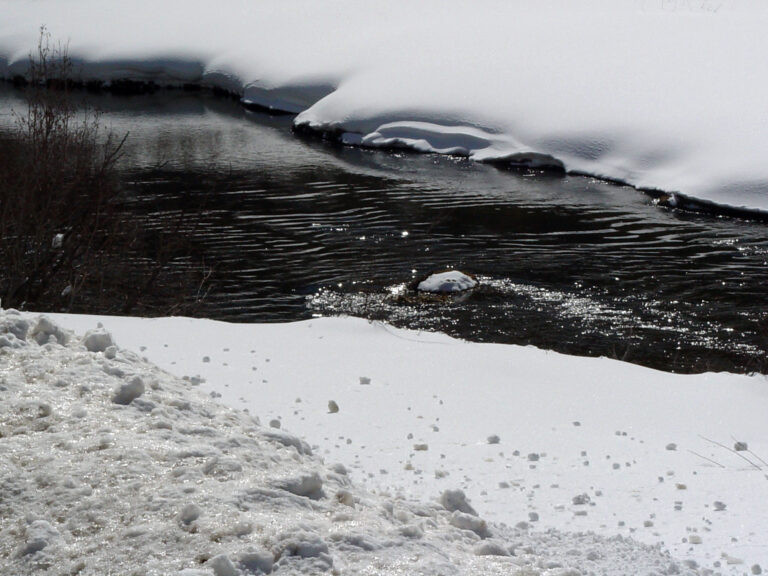 Frozen River Bank in Winter