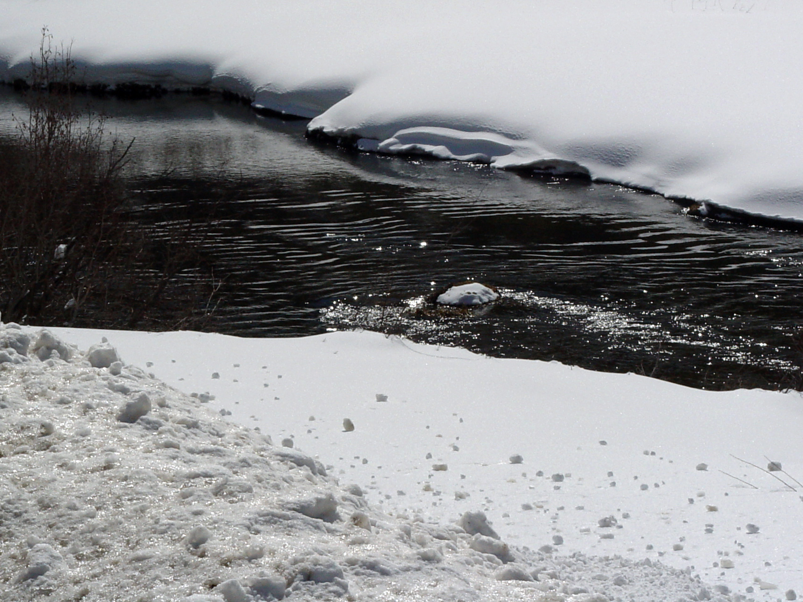 Frozen River Bank in Winter