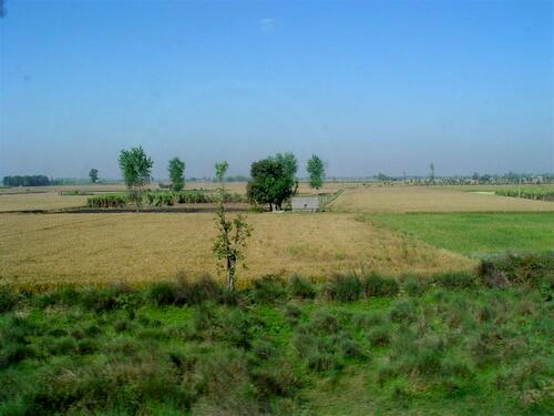 Agricultural fields viewed from a train traveling through northern India.