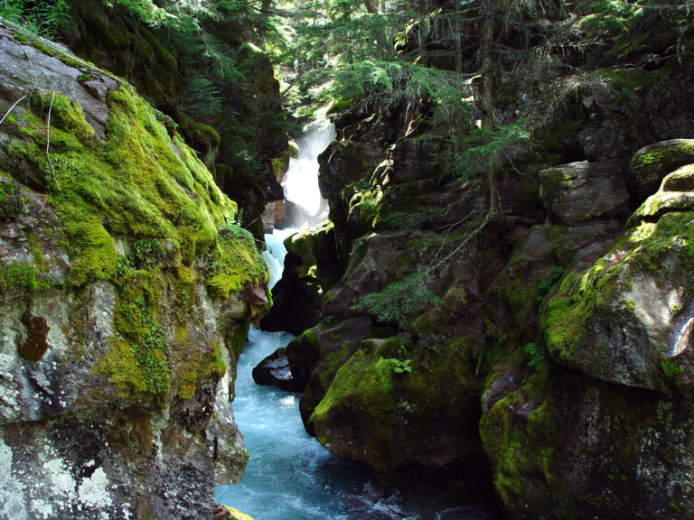 Mossy Canyon Waterfall in Forest