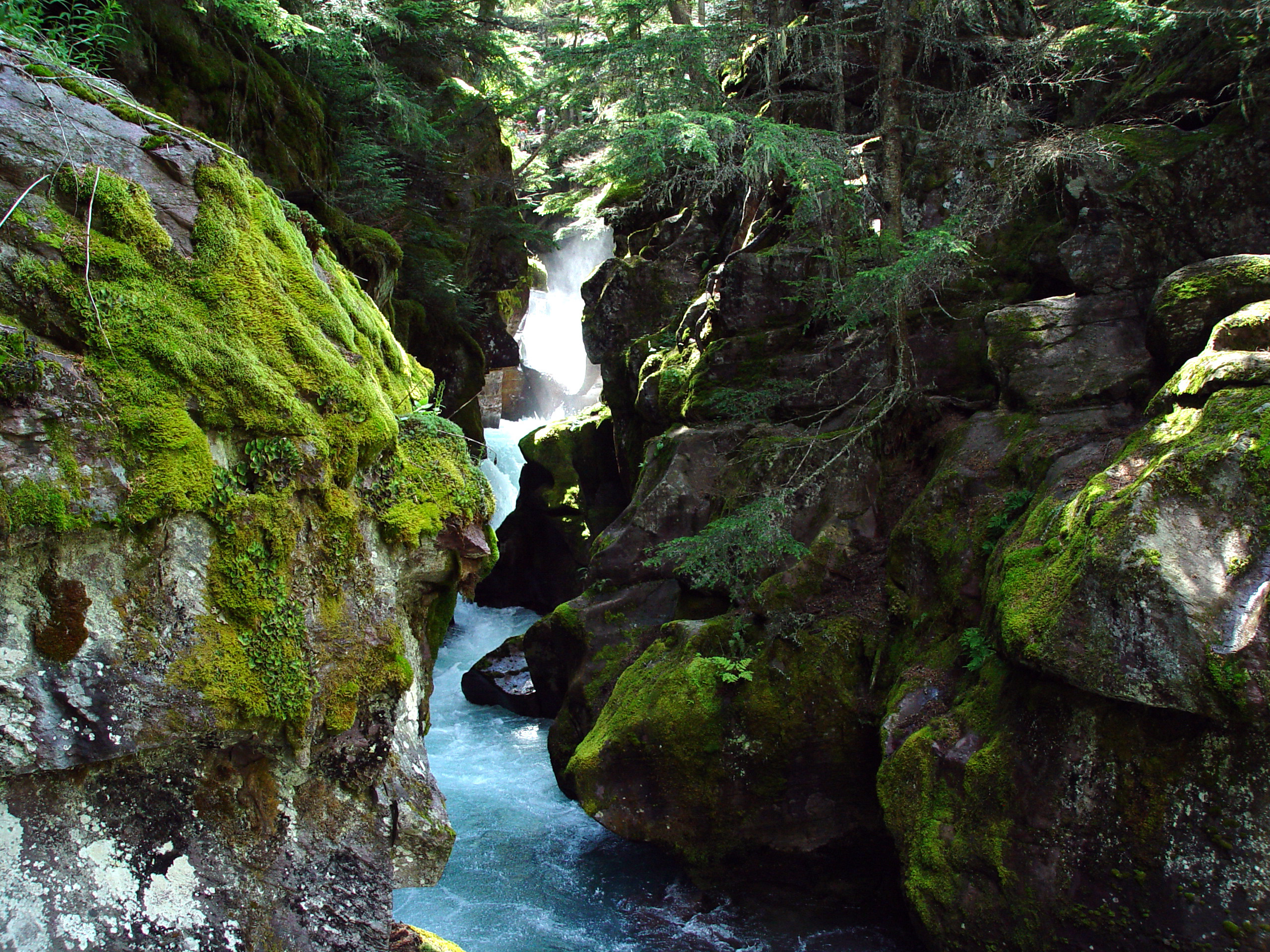 Mossy Canyon Waterfall in Forest