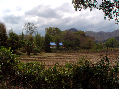 Rural countryside with fields, trees, and mountains near Chiang Mai, Thailand.