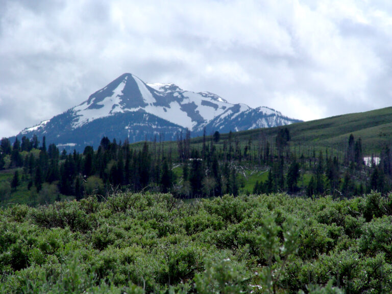 Snow-Capped Peak Beyond the Sagebrush