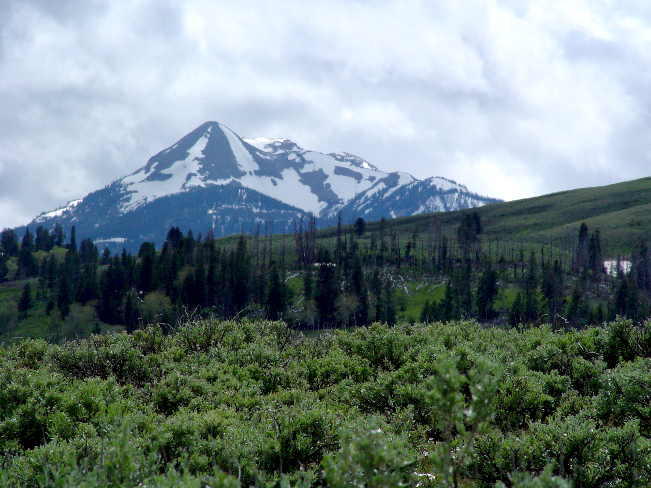 Snow-Capped Peak Beyond the Sagebrush