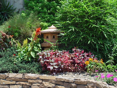 Colorful tropical garden featuring bamboo, flowers, and ornamental plants in Thailand.