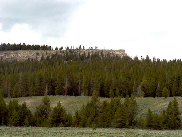 A forested Yellowstone landscape with a rocky ridge rising above a remote backcountry meadow.