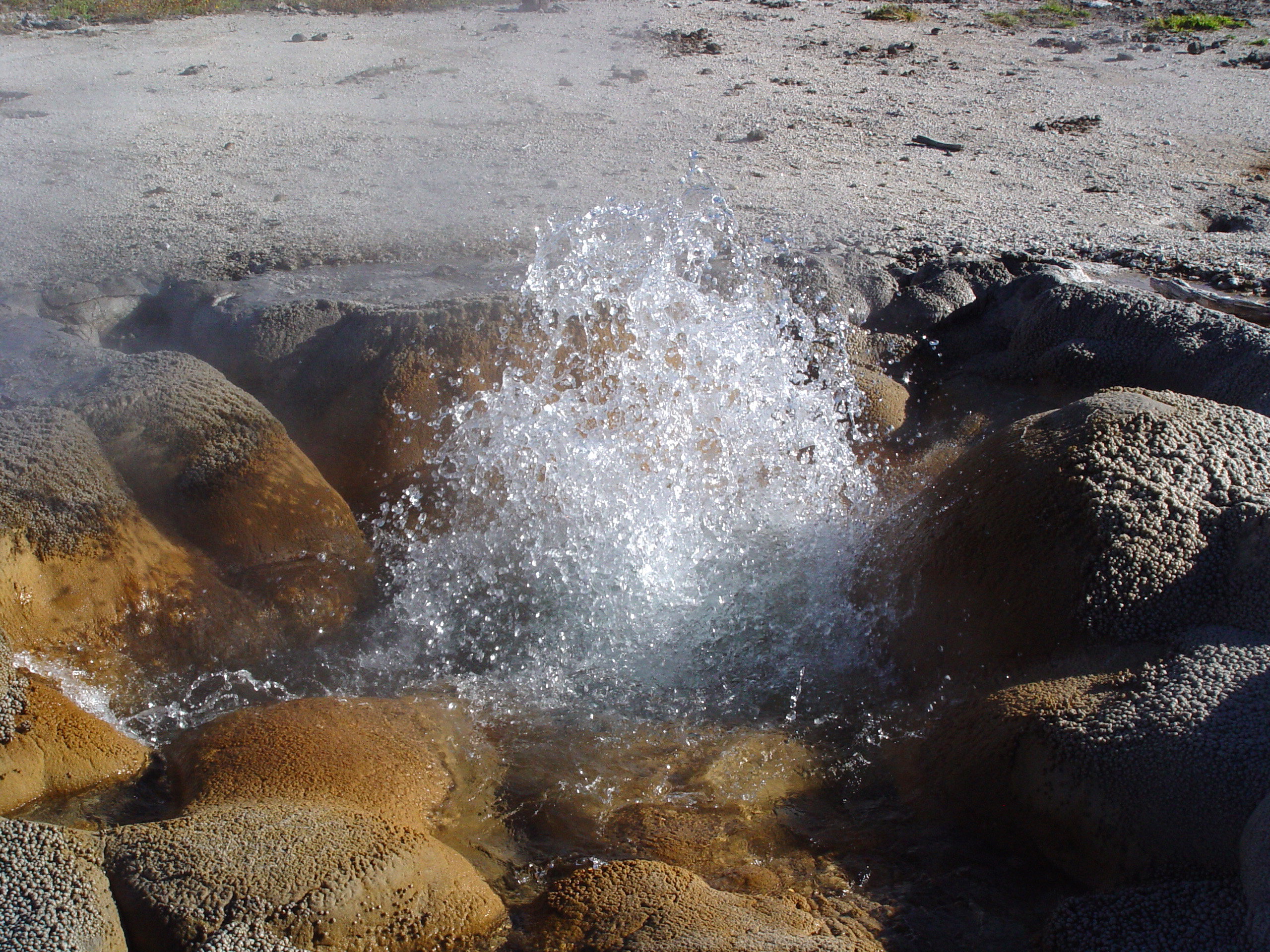 Bubbling Yellowstone Hot Spring