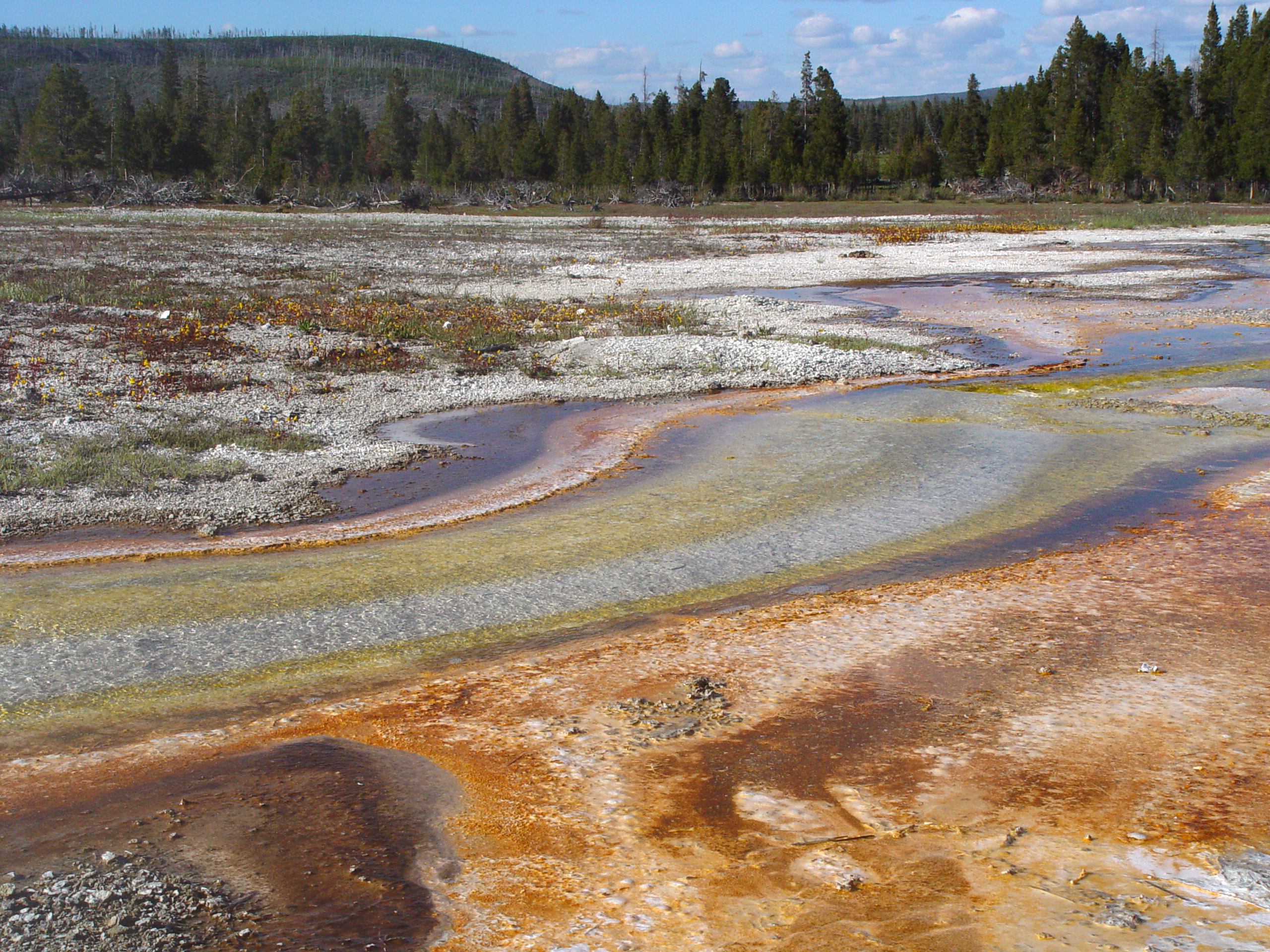 Colorful Geothermal Stream