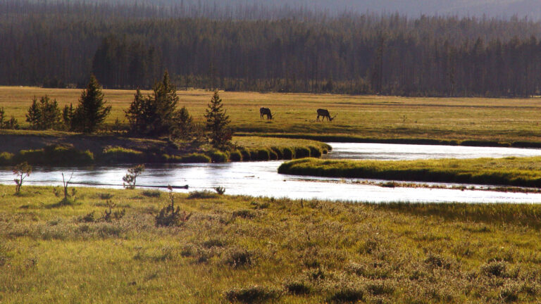 Yellowstone River Valley