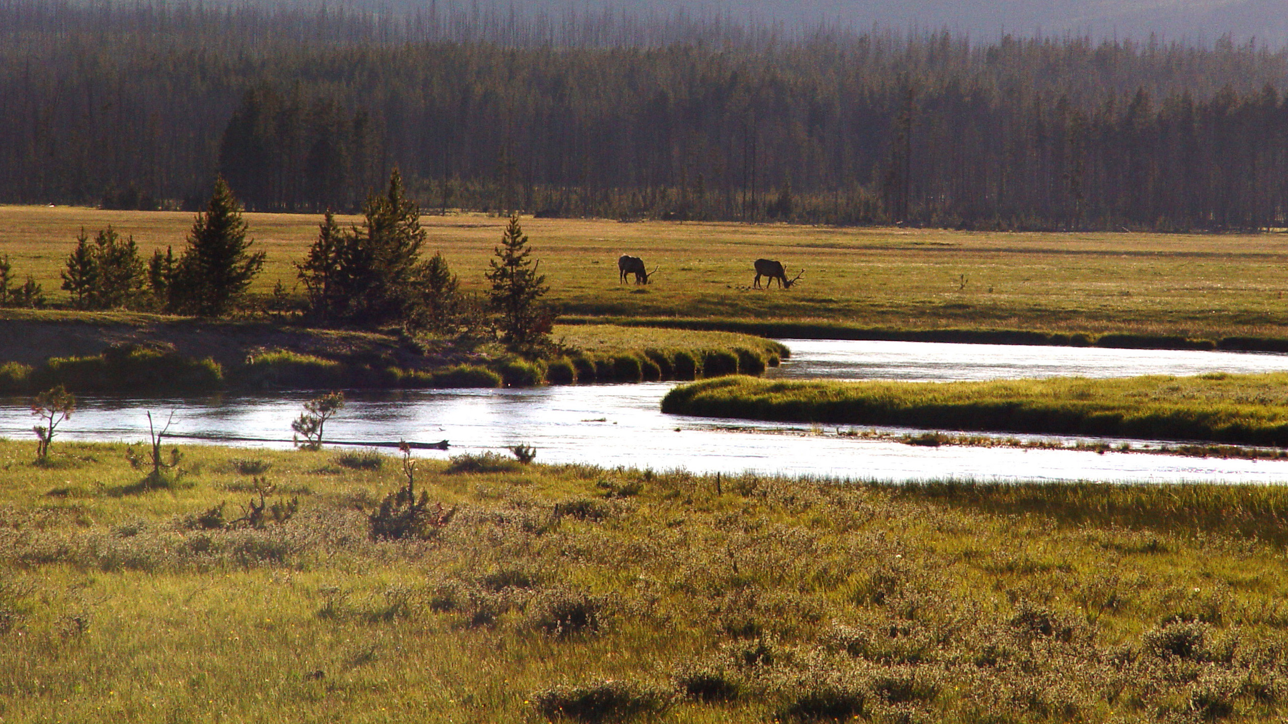 Yellowstone River Valley